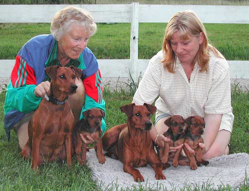 Jag tillsammans med min Mentor Lill-Inger från kennel Bitsikka´s och tre generationer Pinscher