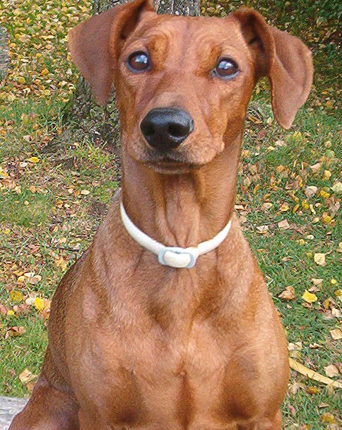 Xitamiz Effie