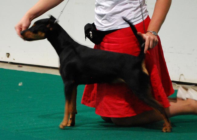 Xitamiz Teckla ISPU winner