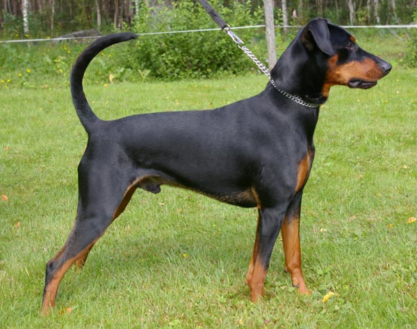 Xitamiz Uther Pendragon, photo: Frida