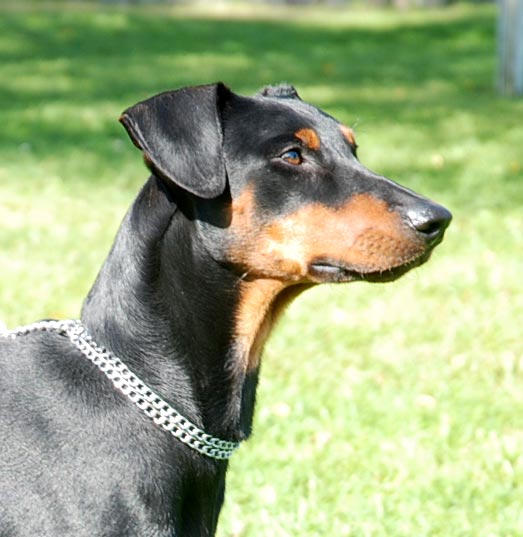 Uther