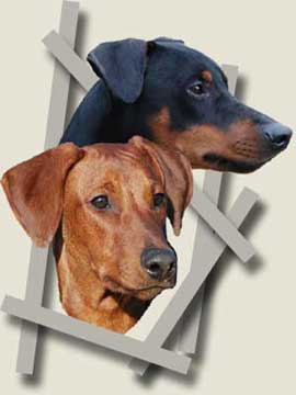 xitamiz logo