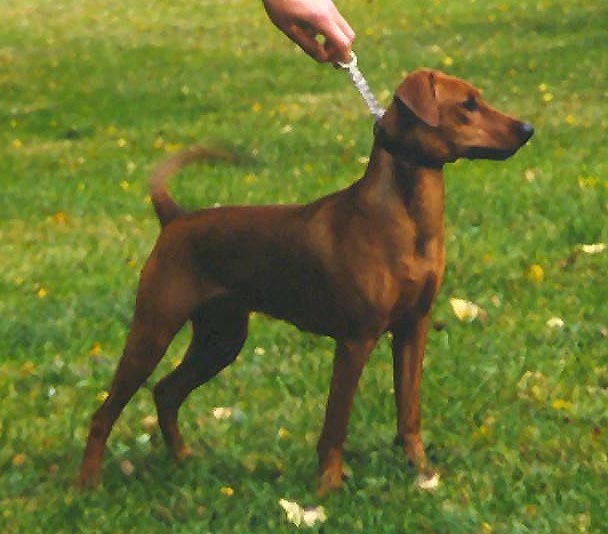 Xitamiz floflo